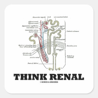 Pegatina Cuadrada Think Renal (Ilustracion de Anatomía de Nephron)