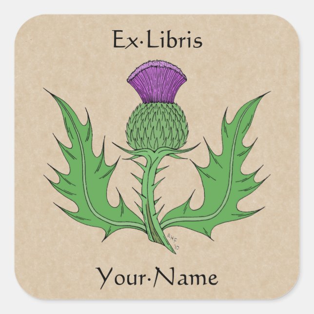 Pegatina Cuadrada Thistle (Anverso)