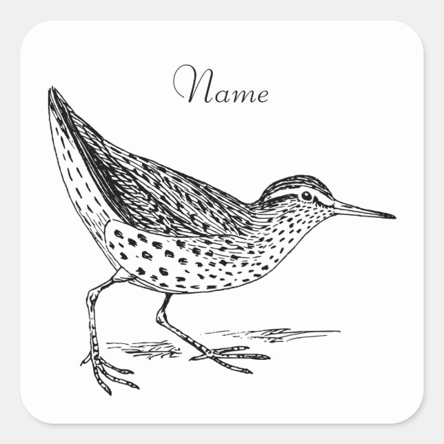 Pegatina Cuadrada Thunder_Cove de Sandpiper (Anverso)