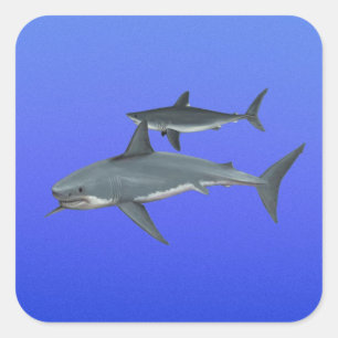 Pegatina Cuadrada Tiburones
