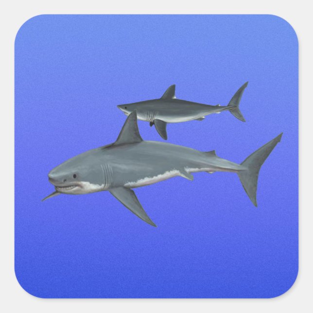 Pegatina Cuadrada Tiburones (Anverso)