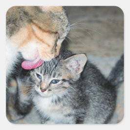 Pegatina Cuadrada Tiempo de baño