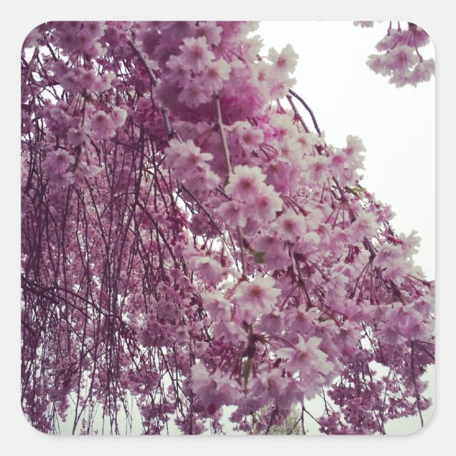 Pegatina Cuadrada Tiempo de primavera (Anverso)