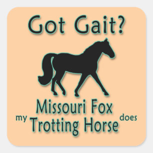 Pegatina Cuadrada ¿Tienes Gait? Mi caballo de trote de Missouri Fox