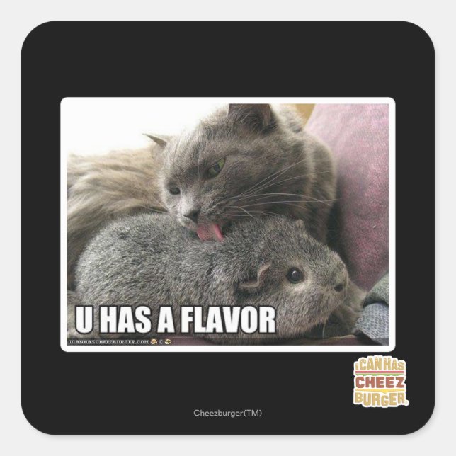 PEGATINA CUADRADA TIENES UN SABOR (Anverso)