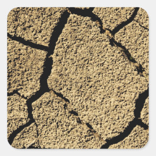 Pegatina Cuadrada Tierra seca con tierra agrietada en sequía