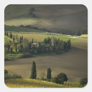 Pegatina Cuadrada Tierras agrícolas alrededor de Montepulciano, Tos