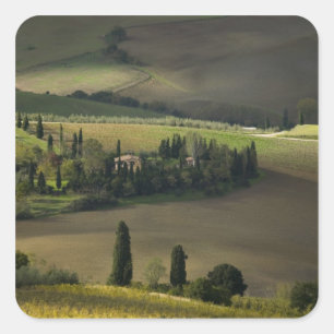 Pegatina Cuadrada Tierras agrícolas alrededor de Montepulciano, Tos