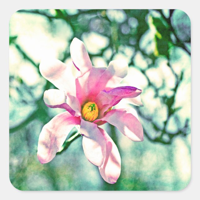 Pegatina Cuadrada Tiffany Magnolia (Anverso)