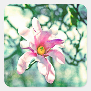 Pegatina Cuadrada Tiffany Magnolia