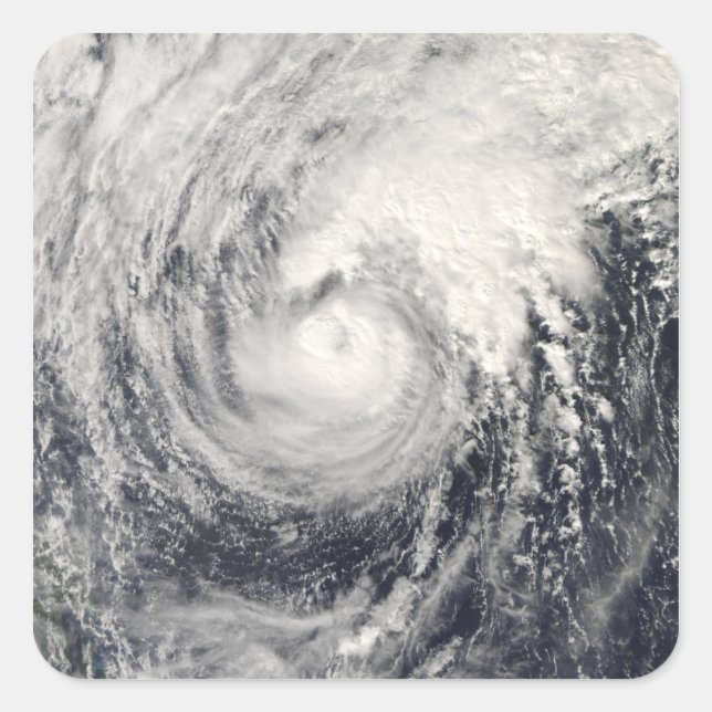 Pegatina Cuadrada Tifón delfín en el mar de Filipinas (Anverso)