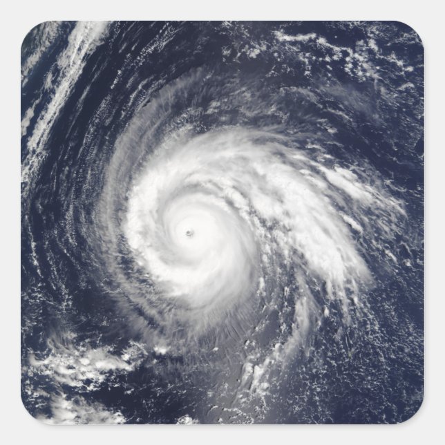 Pegatina Cuadrada Tifón Higos (Anverso)