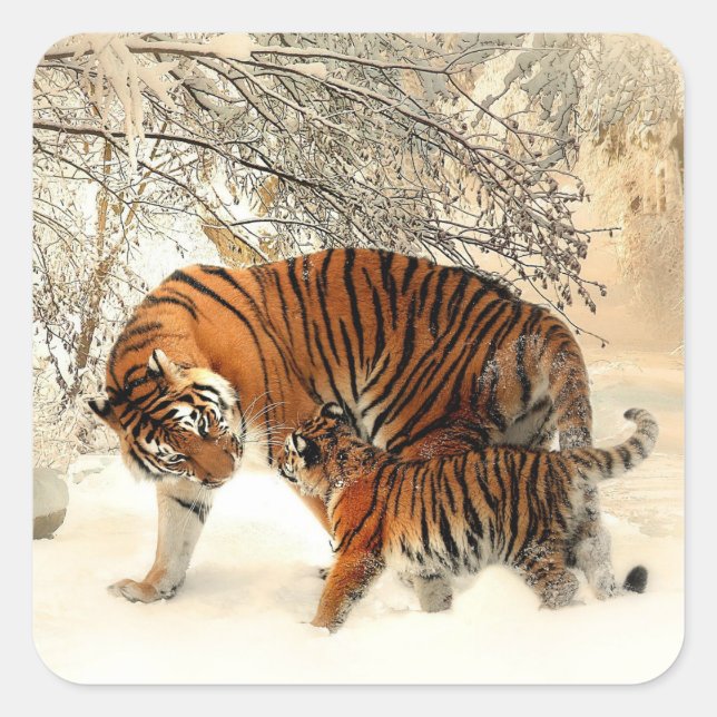Pegatina Cuadrada Tiger and Cub, Winter Scene, (Anverso)