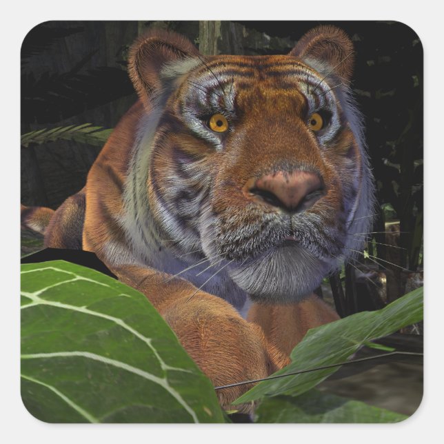 Pegatina Cuadrada Tigre agachándose en la selva (Anverso)