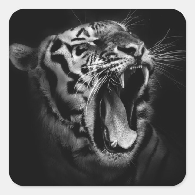 Pegatina Cuadrada Tigre blanco y negro (Anverso)