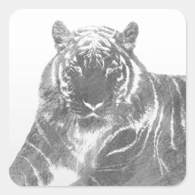 Pegatina Cuadrada Tigre blanco y negro (Anverso)