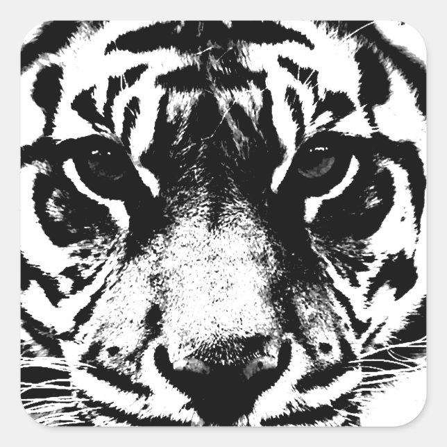 Pegatina Cuadrada Tigre blanco y negro (Anverso)