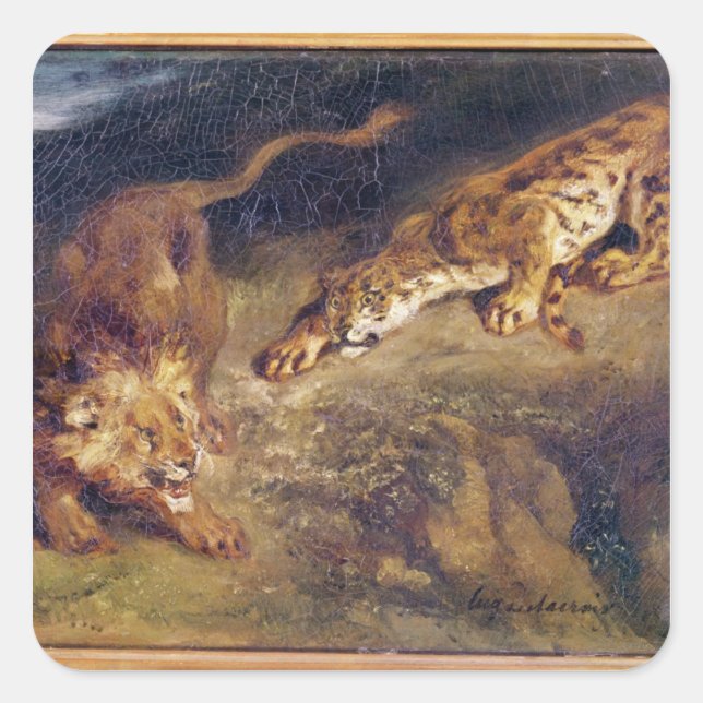 Pegatina Cuadrada Tigre y león (Anverso)