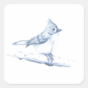 Pegatina Cuadrada Titmouse copetudo