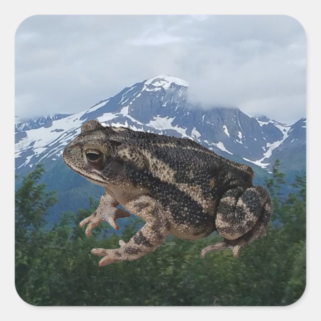 Pegatina Cuadrada Toad (Anverso)
