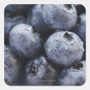 Pegatina Cuadrada Toma de estudio de arándanos 3