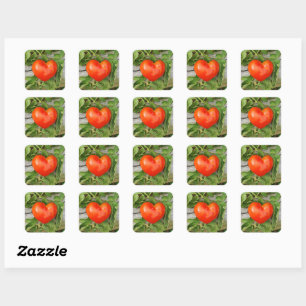 Pegatina Cuadrada Tomate con forma de corazón