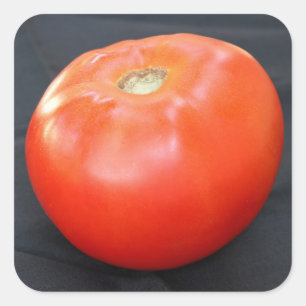 Pegatina Cuadrada Tomate de Jersey 4