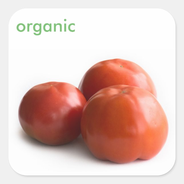 Pegatina Cuadrada Tomate seco (Anverso)