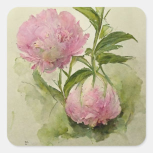 Pegatina Cuadrada Toneladas rosadas delgadas