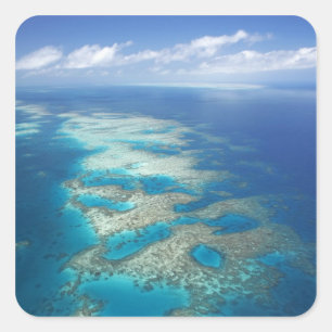 Pegatina Cuadrada Tongue Reef, Parque Marino de la Gran Barrera de C