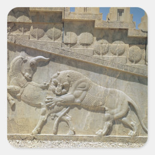 Pegatina Cuadrada Toro de lucha de leones, escalera oriental de soco