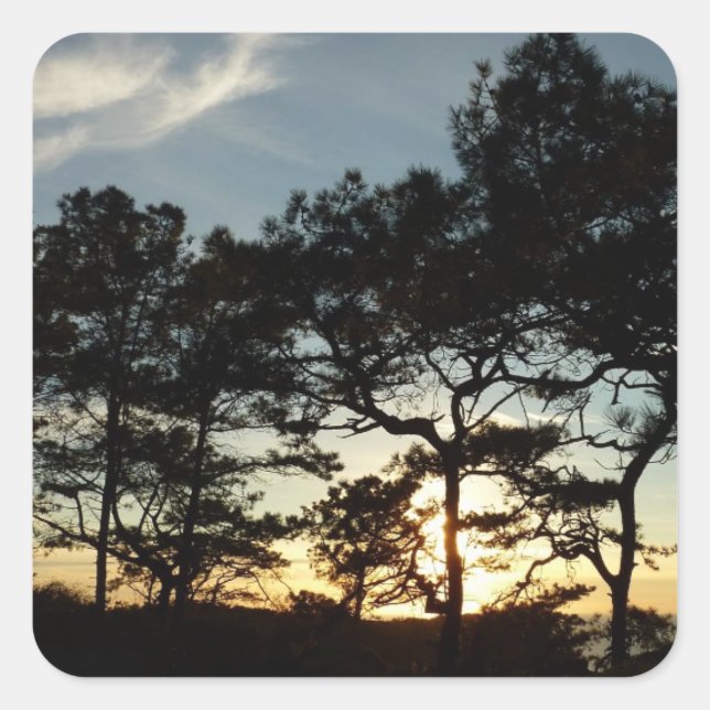 Pegatina Cuadrada Torrey Pine Sunset II California (Anverso)