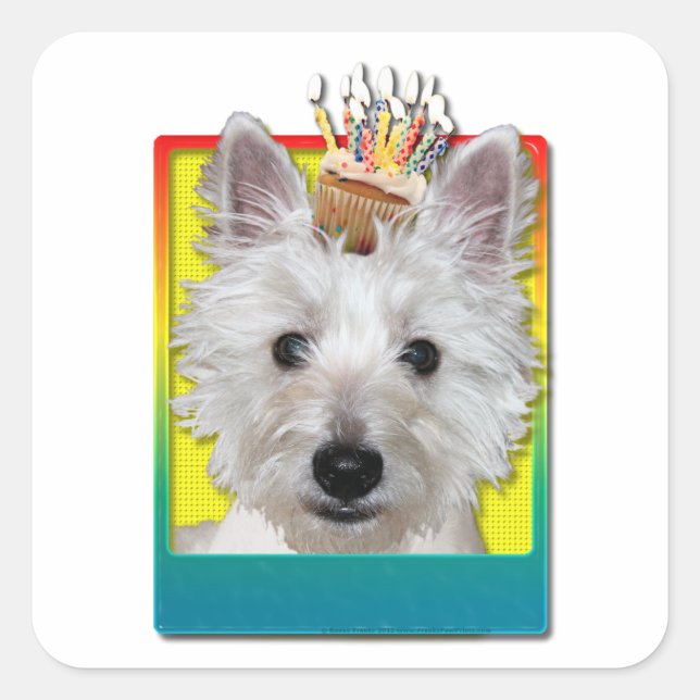 Pegatina Cuadrada Torta de cumpleaños - Westie - Tanque (Anverso)