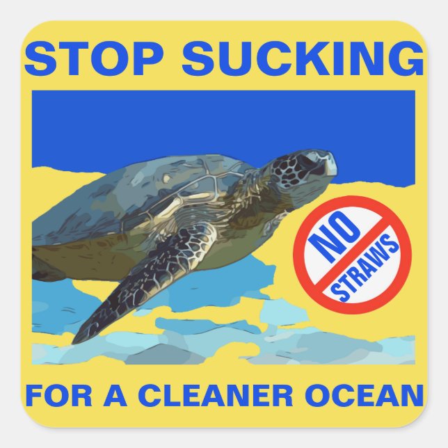 PEGATINA CUADRADA TORTUGA DE MAR (Anverso)