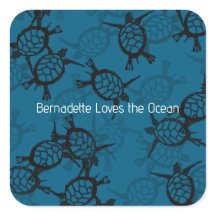 Tortuga marina de Ocean Aovers