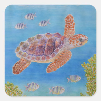 Pegatina Cuadrada Tortuga marina joven de cabeza grande