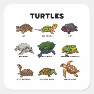 Pegatina Cuadrada Tortugas de dibujos animados lindas del mundo