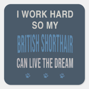 Pegatina Cuadrada Trabajo Duro Para Mi British Shorthair