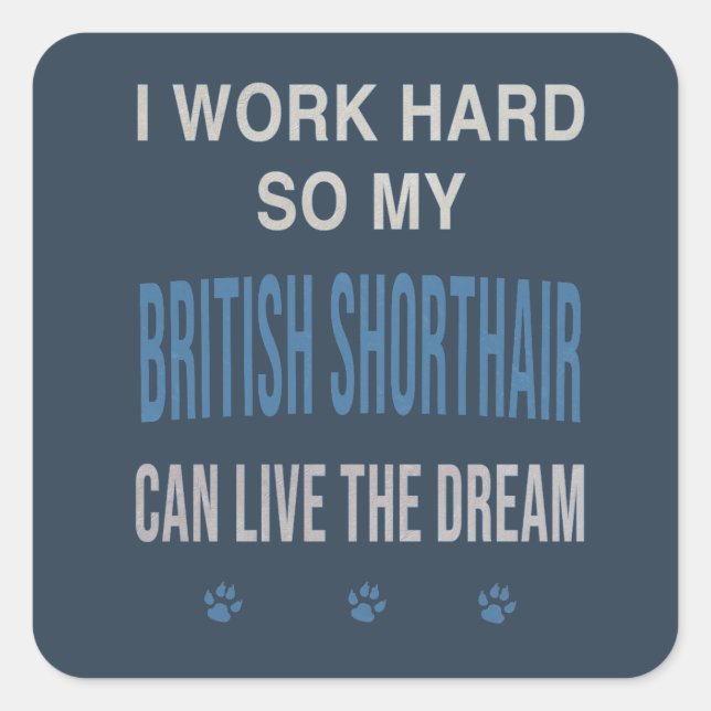 Pegatina Cuadrada Trabajo Duro Para Mi British Shorthair (Anverso)