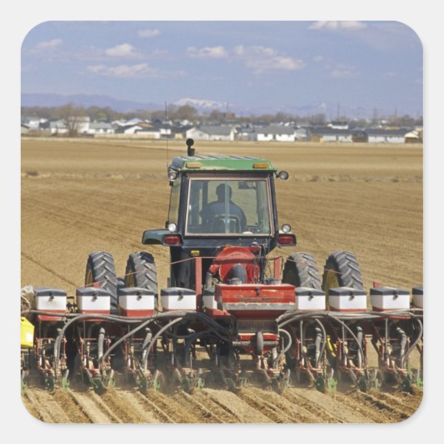 Pegatina Cuadrada Tractor tirando de un sembrador de maíz. (Anverso)
