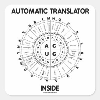 Pegatina Cuadrada Traductor automático interior (rueda de codon RNA)