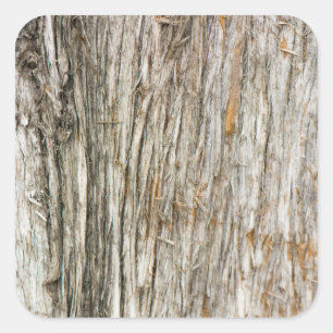 Pegatina Cuadrada Tráfico de árbol