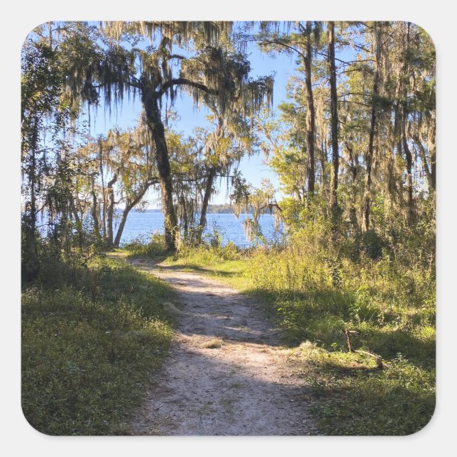 Pegatina Cuadrada Trail By The River (Anverso)