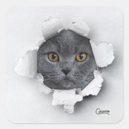Pegatina Cuadrada Trampa de gato - Pegatinas de sobres