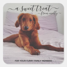 Tratar a los Pegatinas favoritos