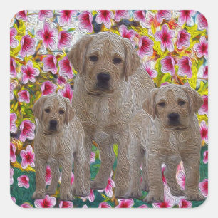 Pegatina Cuadrada Tres cachorros de Labrador con aceite pintado,