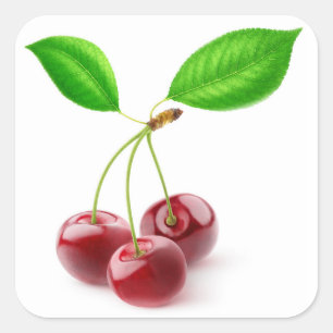 Pegatina Cuadrada tres cerezas dulces con hojas