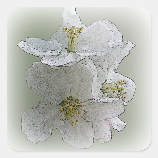 Pegatina Cuadrada tres flores blancas (Anverso)