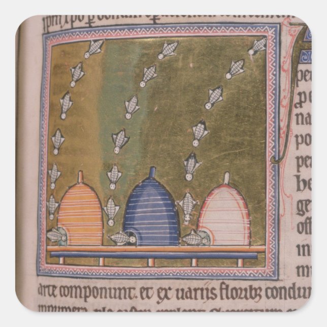 Pegatina Cuadrada Tres líneas curvadas (Anverso)