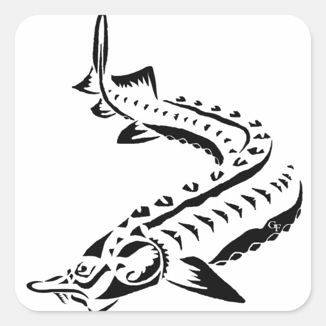 Pegatina Cuadrada Tribal Sturgeon - Huso Beluga (Anverso)